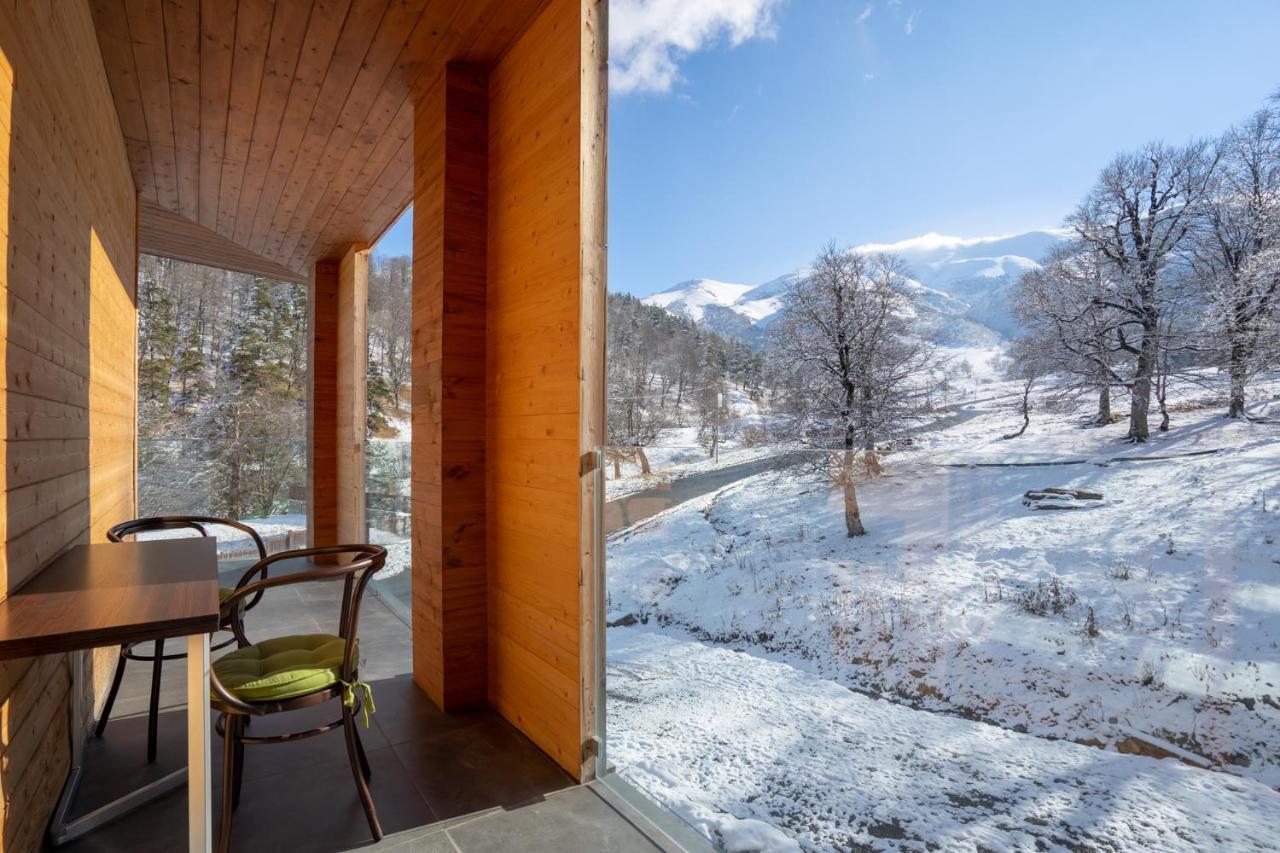 Didveli Valley Bakuriani Exterior photo
