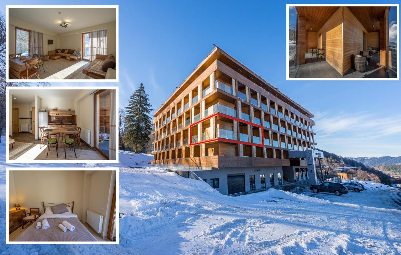 Didveli Valley Bakuriani Exterior photo